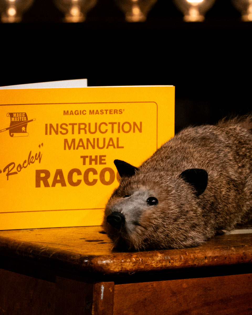 Magic Raccon Rocky Raccoon - Magic Masters – Tannen's