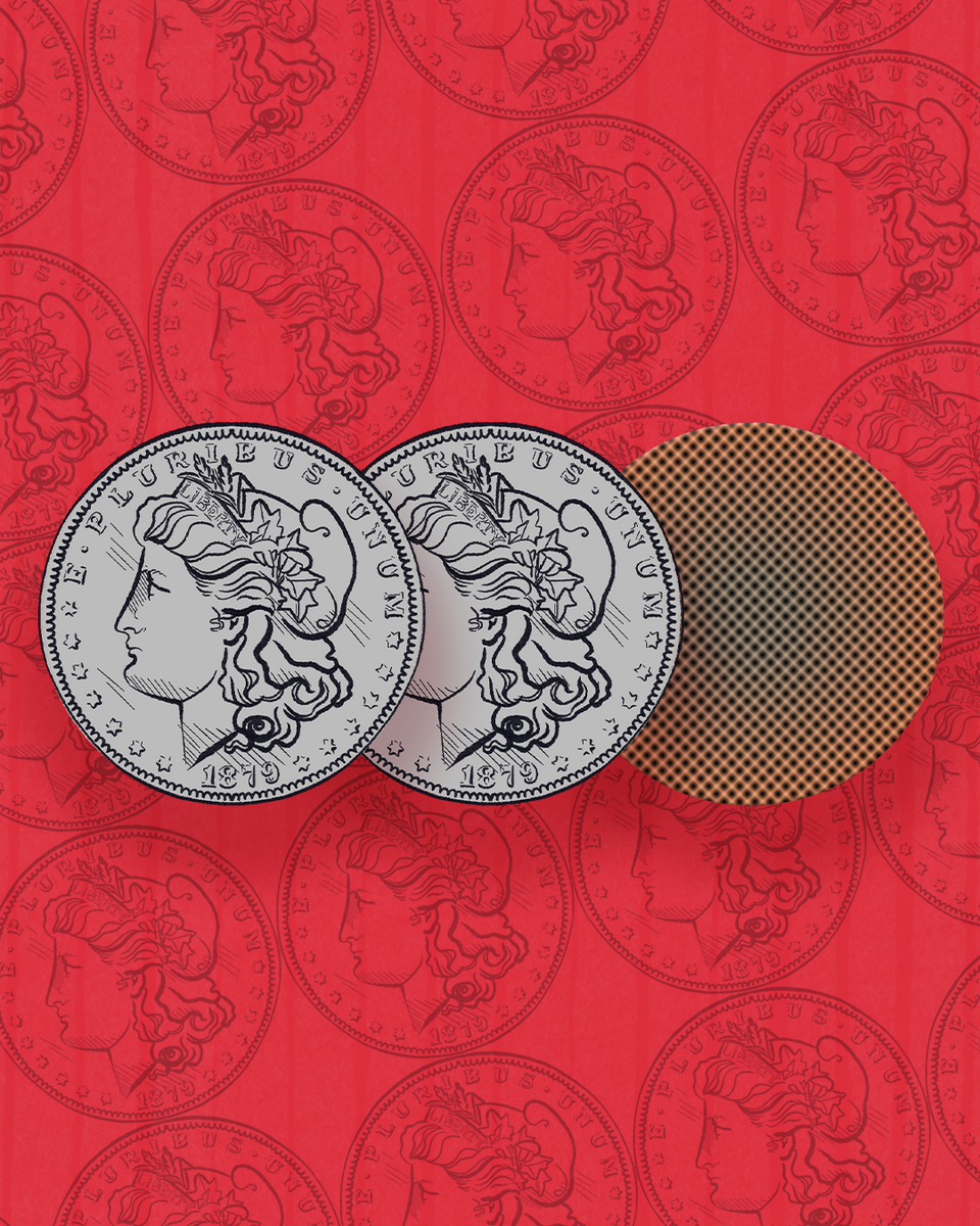 Transient Coins - Morgan – Tannen's