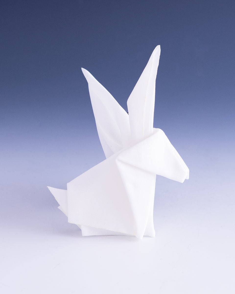 Origami Rabbit – Tannen's