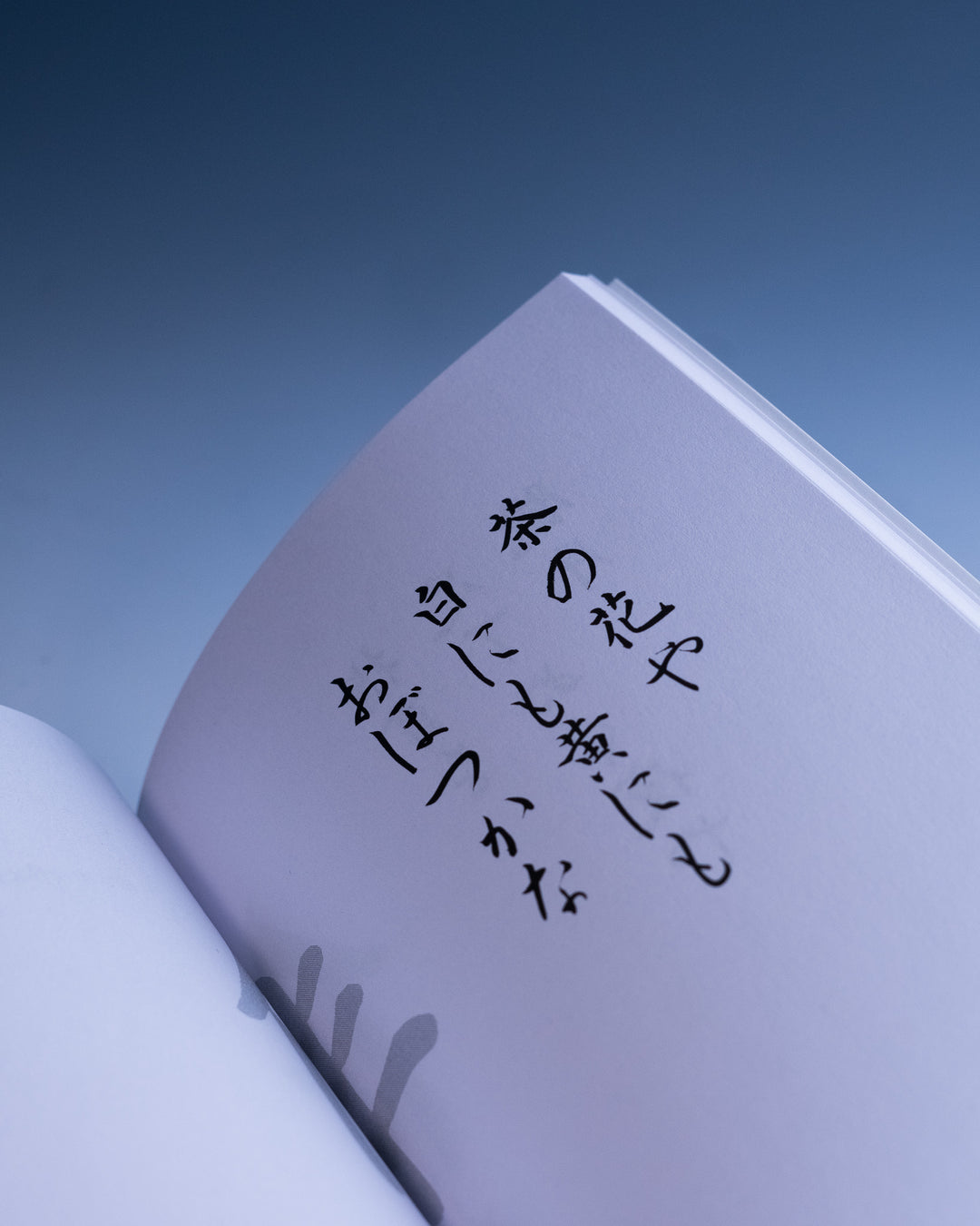 口豪奢 DSC09063_1080x.jpg?v=1630081819 その他